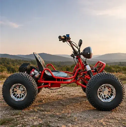 3000W Electric Off-Road Go Kart